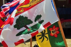 2018 flags on Canada Day  (photo from SPN)