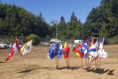 2019 group of flags