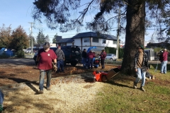 Murray Rd cleanup for Christmas market