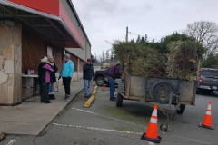 Tree Recycling-for Christmas 2019