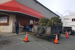 Tree Recycling for Christmas 2019