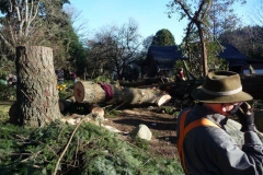 Jan 2021 Lions helping with windstorm damage