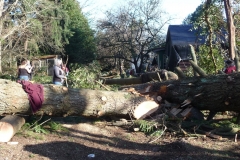 Jan 2021 Lions helping with windstorm damage