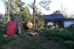 Jan 2021 Lions helping with windstorm damage