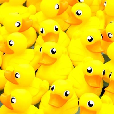 Annual Sooke Duck Day Race